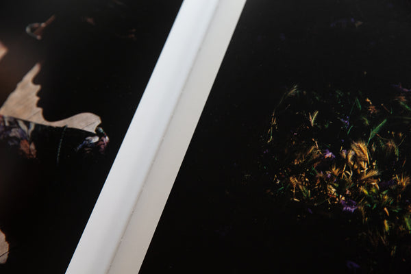 Neave Bozorgi - Neave Bozorgi, Private Collection - Vol.1 (Second Edition Pre-Order) - Film Photography, Coffee table book - Fine Art Photography