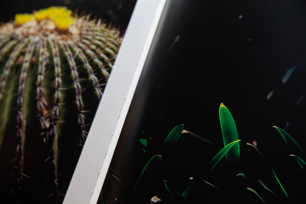 Neave Bozorgi - Neave Bozorgi, Private Collection - Vol.1 (Second Edition Pre-Order) - Film Photography, Coffee table book - Fine Art Photography